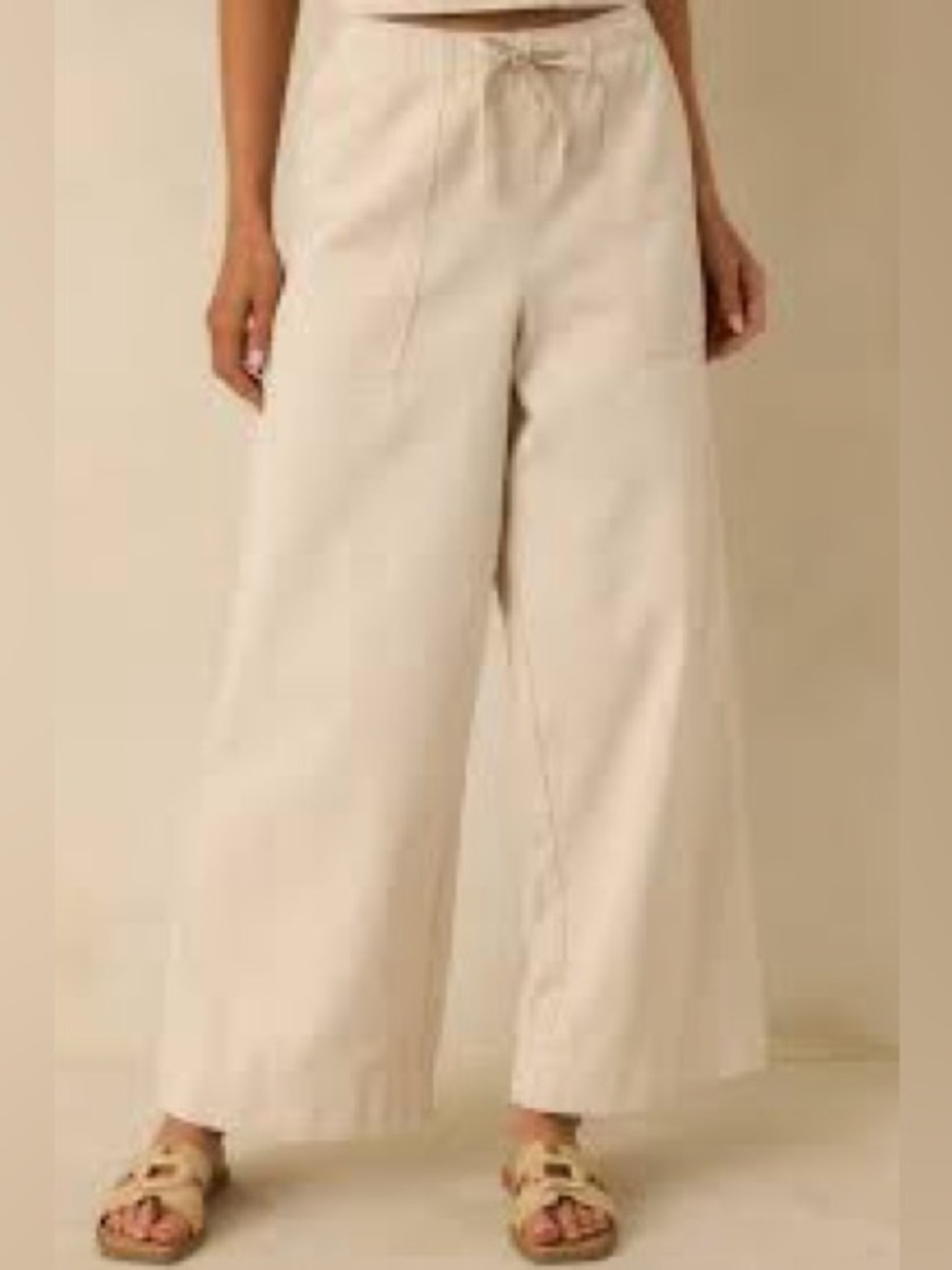Nwt Z Supply Daycation Pants in Parchment Beige